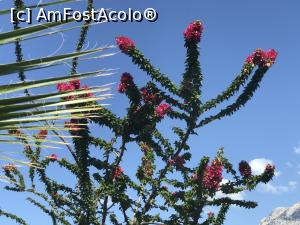 [P96] Gural Premier Tekirova - Paradisul copiilor - » foto by nicole33
 - 
<span class="allrVoted glyphicon glyphicon-heart hidden" id="av986170"></span>
<a class="m-l-10 hidden" id="sv986170" onclick="voting_Foto_DelVot(,986170,8369)" role="button">șterge vot <span class="glyphicon glyphicon-remove"></span></a>
<a id="v9986170" class=" c-red"  onclick="voting_Foto_SetVot(986170)" role="button"><span class="glyphicon glyphicon-heart-empty"></span> <b>LIKE</b> = Votează poza</a> <img class="hidden"  id="f986170W9" src="/imagini/loader.gif" border="0" /><span class="AjErrMes hidden" id="e986170ErM"></span>