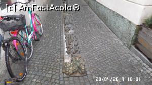 [P13] Am intrat pe aleea Lăcătușilor » foto by ungureanica
 - 
<span class="allrVoted glyphicon glyphicon-heart hidden" id="av1108372"></span>
<a class="m-l-10 hidden" id="sv1108372" onclick="voting_Foto_DelVot(,1108372,8382)" role="button">șterge vot <span class="glyphicon glyphicon-remove"></span></a>
<a id="v91108372" class=" c-red"  onclick="voting_Foto_SetVot(1108372)" role="button"><span class="glyphicon glyphicon-heart-empty"></span> <b>LIKE</b> = Votează poza</a> <img class="hidden"  id="f1108372W9" src="/imagini/loader.gif" border="0" /><span class="AjErrMes hidden" id="e1108372ErM"></span>