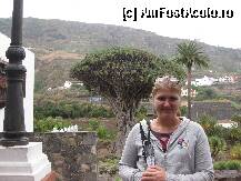 [P04] cel mai vechi copac de pe insula » foto by erna
 - 
<span class="allrVoted glyphicon glyphicon-heart hidden" id="av181575"></span>
<a class="m-l-10 hidden" id="sv181575" onclick="voting_Foto_DelVot(,181575,8406)" role="button">șterge vot <span class="glyphicon glyphicon-remove"></span></a>
<a id="v9181575" class=" c-red"  onclick="voting_Foto_SetVot(181575)" role="button"><span class="glyphicon glyphicon-heart-empty"></span> <b>LIKE</b> = Votează poza</a> <img class="hidden"  id="f181575W9" src="/imagini/loader.gif" border="0" /><span class="AjErrMes hidden" id="e181575ErM"></span>