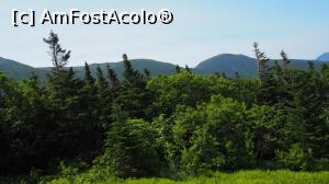 [P01] Copacii arată ciudat: poza a fost făcută din tren, paralel cu " orizontala vagonului" . Da, urcarea este foarte abruptă.  » foto by DanCld
 - 
<span class="allrVoted glyphicon glyphicon-heart hidden" id="av1101978"></span>
<a class="m-l-10 hidden" id="sv1101978" onclick="voting_Foto_DelVot(,1101978,8408)" role="button">șterge vot <span class="glyphicon glyphicon-remove"></span></a>
<a id="v91101978" class=" c-red"  onclick="voting_Foto_SetVot(1101978)" role="button"><span class="glyphicon glyphicon-heart-empty"></span> <b>LIKE</b> = Votează poza</a> <img class="hidden"  id="f1101978W9" src="/imagini/loader.gif" border="0" /><span class="AjErrMes hidden" id="e1101978ErM"></span>