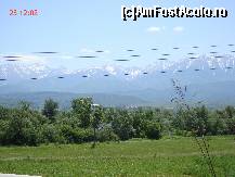 [P01] pe drumul dinspre Sibiu si Balea, undeva pe langa Avrig » foto by cathzel
 - 
<span class="allrVoted glyphicon glyphicon-heart hidden" id="av222714"></span>
<a class="m-l-10 hidden" id="sv222714" onclick="voting_Foto_DelVot(,222714,8419)" role="button">șterge vot <span class="glyphicon glyphicon-remove"></span></a>
<a id="v9222714" class=" c-red"  onclick="voting_Foto_SetVot(222714)" role="button"><span class="glyphicon glyphicon-heart-empty"></span> <b>LIKE</b> = Votează poza</a> <img class="hidden"  id="f222714W9" src="/imagini/loader.gif" border="0" /><span class="AjErrMes hidden" id="e222714ErM"></span>