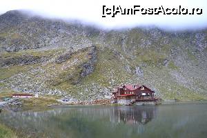 [P02]  -- <small>// FĂRĂ DESCRIERE</small> » foto by AZE
 - 
<span class="allrVoted glyphicon glyphicon-heart hidden" id="av666187"></span>
<a class="m-l-10 hidden" id="sv666187" onclick="voting_Foto_DelVot(,666187,8419)" role="button">șterge vot <span class="glyphicon glyphicon-remove"></span></a>
<a id="v9666187" class=" c-red"  onclick="voting_Foto_SetVot(666187)" role="button"><span class="glyphicon glyphicon-heart-empty"></span> <b>LIKE</b> = Votează poza</a> <img class="hidden"  id="f666187W9" src="/imagini/loader.gif" border="0" /><span class="AjErrMes hidden" id="e666187ErM"></span>