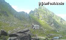[P13] Altfel se vede scaldat de razele soarelui » foto by Ellada_sagapo
 - 
<span class="allrVoted glyphicon glyphicon-heart hidden" id="av154304"></span>
<a class="m-l-10 hidden" id="sv154304" onclick="voting_Foto_DelVot(,154304,8419)" role="button">șterge vot <span class="glyphicon glyphicon-remove"></span></a>
<a id="v9154304" class=" c-red"  onclick="voting_Foto_SetVot(154304)" role="button"><span class="glyphicon glyphicon-heart-empty"></span> <b>LIKE</b> = Votează poza</a> <img class="hidden"  id="f154304W9" src="/imagini/loader.gif" border="0" /><span class="AjErrMes hidden" id="e154304ErM"></span>