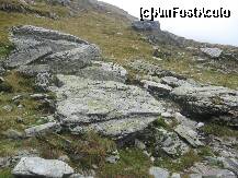 [P16] Dar suntem nevoiti s-o luam iar pe creasta, a inceput ploaia si lespezile de granit devin alunecoase » foto by dorgo
 - 
<span class="allrVoted glyphicon glyphicon-heart hidden" id="av181903"></span>
<a class="m-l-10 hidden" id="sv181903" onclick="voting_Foto_DelVot(,181903,8419)" role="button">șterge vot <span class="glyphicon glyphicon-remove"></span></a>
<a id="v9181903" class=" c-red"  onclick="voting_Foto_SetVot(181903)" role="button"><span class="glyphicon glyphicon-heart-empty"></span> <b>LIKE</b> = Votează poza</a> <img class="hidden"  id="f181903W9" src="/imagini/loader.gif" border="0" /><span class="AjErrMes hidden" id="e181903ErM"></span>