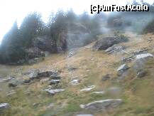 [P25] Vantul si ploaia ma impiedica sa mai fac fotografii de calitate » foto by dorgo
 - 
<span class="allrVoted glyphicon glyphicon-heart hidden" id="av181912"></span>
<a class="m-l-10 hidden" id="sv181912" onclick="voting_Foto_DelVot(,181912,8419)" role="button">șterge vot <span class="glyphicon glyphicon-remove"></span></a>
<a id="v9181912" class=" c-red"  onclick="voting_Foto_SetVot(181912)" role="button"><span class="glyphicon glyphicon-heart-empty"></span> <b>LIKE</b> = Votează poza</a> <img class="hidden"  id="f181912W9" src="/imagini/loader.gif" border="0" /><span class="AjErrMes hidden" id="e181912ErM"></span>