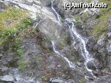 [P27] Dar spectacolul nu s-a terminat, in rezervatie mai exista si numerose cascade » foto by dorgo
 - 
<span class="allrVoted glyphicon glyphicon-heart hidden" id="av181914"></span>
<a class="m-l-10 hidden" id="sv181914" onclick="voting_Foto_DelVot(,181914,8419)" role="button">șterge vot <span class="glyphicon glyphicon-remove"></span></a>
<a id="v9181914" class=" c-red"  onclick="voting_Foto_SetVot(181914)" role="button"><span class="glyphicon glyphicon-heart-empty"></span> <b>LIKE</b> = Votează poza</a> <img class="hidden"  id="f181914W9" src="/imagini/loader.gif" border="0" /><span class="AjErrMes hidden" id="e181914ErM"></span>