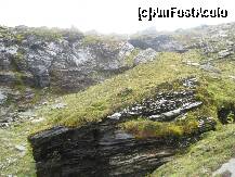 [P30] In rezervatie intalnesti o intersanta alternanta a culorilor verde alb si negru » foto by dorgo
 - 
<span class="allrVoted glyphicon glyphicon-heart hidden" id="av181917"></span>
<a class="m-l-10 hidden" id="sv181917" onclick="voting_Foto_DelVot(,181917,8419)" role="button">șterge vot <span class="glyphicon glyphicon-remove"></span></a>
<a id="v9181917" class=" c-red"  onclick="voting_Foto_SetVot(181917)" role="button"><span class="glyphicon glyphicon-heart-empty"></span> <b>LIKE</b> = Votează poza</a> <img class="hidden"  id="f181917W9" src="/imagini/loader.gif" border="0" /><span class="AjErrMes hidden" id="e181917ErM"></span>