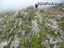 [P08] Ajungem si pe creasta caldarii glaciare,pe unde e cel mai bine sa abordezi turul lacului » foto by dorgo
 - 
<span class="allrVoted glyphicon glyphicon-heart hidden" id="av181895"></span>
<a class="m-l-10 hidden" id="sv181895" onclick="voting_Foto_DelVot(,181895,8419)" role="button">șterge vot <span class="glyphicon glyphicon-remove"></span></a>
<a id="v9181895" class=" c-red"  onclick="voting_Foto_SetVot(181895)" role="button"><span class="glyphicon glyphicon-heart-empty"></span> <b>LIKE</b> = Votează poza</a> <img class="hidden"  id="f181895W9" src="/imagini/loader.gif" border="0" /><span class="AjErrMes hidden" id="e181895ErM"></span>