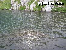 [P02] Lacul Bâlea - pe fund se văd bani aruncaţi de turişti, să le poarte noroc » foto by turist.real
 - 
<span class="allrVoted glyphicon glyphicon-heart hidden" id="av191503"></span>
<a class="m-l-10 hidden" id="sv191503" onclick="voting_Foto_DelVot(,191503,8419)" role="button">șterge vot <span class="glyphicon glyphicon-remove"></span></a>
<a id="v9191503" class=" c-red"  onclick="voting_Foto_SetVot(191503)" role="button"><span class="glyphicon glyphicon-heart-empty"></span> <b>LIKE</b> = Votează poza</a> <img class="hidden"  id="f191503W9" src="/imagini/loader.gif" border="0" /><span class="AjErrMes hidden" id="e191503ErM"></span>