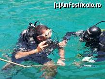 [P10] scuba » foto by procurror
 - 
<span class="allrVoted glyphicon glyphicon-heart hidden" id="av330660"></span>
<a class="m-l-10 hidden" id="sv330660" onclick="voting_Foto_DelVot(,330660,8422)" role="button">șterge vot <span class="glyphicon glyphicon-remove"></span></a>
<a id="v9330660" class=" c-red"  onclick="voting_Foto_SetVot(330660)" role="button"><span class="glyphicon glyphicon-heart-empty"></span> <b>LIKE</b> = Votează poza</a> <img class="hidden"  id="f330660W9" src="/imagini/loader.gif" border="0" /><span class="AjErrMes hidden" id="e330660ErM"></span>