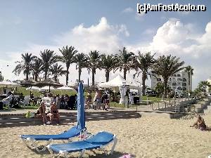 [P11] Plaja Protaras, in fundal mesele de la terase stau pe gazon. Umbrela+2 sezlonguri-5 e. Taxarea se face electronic, chitanta emisa prin aparat prins la soldul baiatului care incaseaza » foto by serban55
 - 
<span class="allrVoted glyphicon glyphicon-heart hidden" id="av567881"></span>
<a class="m-l-10 hidden" id="sv567881" onclick="voting_Foto_DelVot(,567881,8430)" role="button">șterge vot <span class="glyphicon glyphicon-remove"></span></a>
<a id="v9567881" class=" c-red"  onclick="voting_Foto_SetVot(567881)" role="button"><span class="glyphicon glyphicon-heart-empty"></span> <b>LIKE</b> = Votează poza</a> <img class="hidden"  id="f567881W9" src="/imagini/loader.gif" border="0" /><span class="AjErrMes hidden" id="e567881ErM"></span>