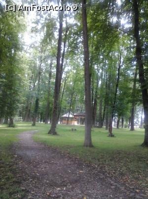 [P10] PARCUL- PADURE, PUCIOASA » foto by Vasilica Mihacea
 - 
<span class="allrVoted glyphicon glyphicon-heart hidden" id="av1004310"></span>
<a class="m-l-10 hidden" id="sv1004310" onclick="voting_Foto_DelVot(,1004310,8472)" role="button">șterge vot <span class="glyphicon glyphicon-remove"></span></a>
<a id="v91004310" class=" c-red"  onclick="voting_Foto_SetVot(1004310)" role="button"><span class="glyphicon glyphicon-heart-empty"></span> <b>LIKE</b> = Votează poza</a> <img class="hidden"  id="f1004310W9" src="/imagini/loader.gif" border="0" /><span class="AjErrMes hidden" id="e1004310ErM"></span>