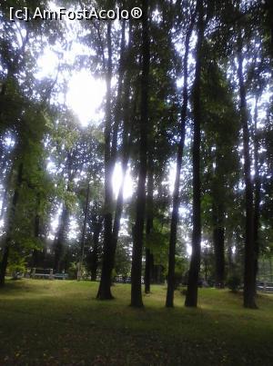 [P04] PARCUL MARE » foto by Vasilica Mihacea
 - 
<span class="allrVoted glyphicon glyphicon-heart hidden" id="av1004302"></span>
<a class="m-l-10 hidden" id="sv1004302" onclick="voting_Foto_DelVot(,1004302,8472)" role="button">șterge vot <span class="glyphicon glyphicon-remove"></span></a>
<a id="v91004302" class=" c-red"  onclick="voting_Foto_SetVot(1004302)" role="button"><span class="glyphicon glyphicon-heart-empty"></span> <b>LIKE</b> = Votează poza</a> <img class="hidden"  id="f1004302W9" src="/imagini/loader.gif" border="0" /><span class="AjErrMes hidden" id="e1004302ErM"></span>