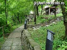 [P27] Bucuresti - Muzeul satului - alee pe marginea lacului. » foto by Diaura*
 - 
<span class="allrVoted glyphicon glyphicon-heart hidden" id="av321791"></span>
<a class="m-l-10 hidden" id="sv321791" onclick="voting_Foto_DelVot(,321791,8488)" role="button">șterge vot <span class="glyphicon glyphicon-remove"></span></a>
<a id="v9321791" class=" c-red"  onclick="voting_Foto_SetVot(321791)" role="button"><span class="glyphicon glyphicon-heart-empty"></span> <b>LIKE</b> = Votează poza</a> <img class="hidden"  id="f321791W9" src="/imagini/loader.gif" border="0" /><span class="AjErrMes hidden" id="e321791ErM"></span>