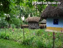 [P36] Bucuresti - Muzeul satului - gospodaria din Dumitra, jud.Alba » foto by Diaura*
 - 
<span class="allrVoted glyphicon glyphicon-heart hidden" id="av321800"></span>
<a class="m-l-10 hidden" id="sv321800" onclick="voting_Foto_DelVot(,321800,8488)" role="button">șterge vot <span class="glyphicon glyphicon-remove"></span></a>
<a id="v9321800" class=" c-red"  onclick="voting_Foto_SetVot(321800)" role="button"><span class="glyphicon glyphicon-heart-empty"></span> <b>LIKE</b> = Votează poza</a> <img class="hidden"  id="f321800W9" src="/imagini/loader.gif" border="0" /><span class="AjErrMes hidden" id="e321800ErM"></span>