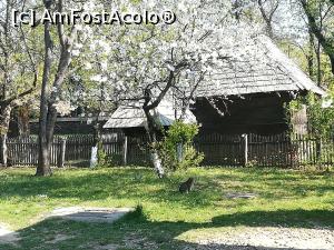 [P24] Fiecare are curtea și casa lui » foto by Mika
 - 
<span class="allrVoted glyphicon glyphicon-heart hidden" id="av1064134"></span>
<a class="m-l-10 hidden" id="sv1064134" onclick="voting_Foto_DelVot(,1064134,8488)" role="button">șterge vot <span class="glyphicon glyphicon-remove"></span></a>
<a id="v91064134" class=" c-red"  onclick="voting_Foto_SetVot(1064134)" role="button"><span class="glyphicon glyphicon-heart-empty"></span> <b>LIKE</b> = Votează poza</a> <img class="hidden"  id="f1064134W9" src="/imagini/loader.gif" border="0" /><span class="AjErrMes hidden" id="e1064134ErM"></span>