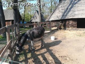 [P25] Mai sunt și alți vecini » foto by Mika
 - 
<span class="allrVoted glyphicon glyphicon-heart hidden" id="av1064135"></span>
<a class="m-l-10 hidden" id="sv1064135" onclick="voting_Foto_DelVot(,1064135,8488)" role="button">șterge vot <span class="glyphicon glyphicon-remove"></span></a>
<a id="v91064135" class=" c-red"  onclick="voting_Foto_SetVot(1064135)" role="button"><span class="glyphicon glyphicon-heart-empty"></span> <b>LIKE</b> = Votează poza</a> <img class="hidden"  id="f1064135W9" src="/imagini/loader.gif" border="0" /><span class="AjErrMes hidden" id="e1064135ErM"></span>