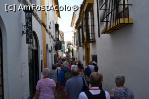 [P71] Cartierul evreiesc din Cordoba » foto by mirmicu
 - 
<span class="allrVoted glyphicon glyphicon-heart hidden" id="av1076169"></span>
<a class="m-l-10 hidden" id="sv1076169" onclick="voting_Foto_DelVot(,1076169,8504)" role="button">șterge vot <span class="glyphicon glyphicon-remove"></span></a>
<a id="v91076169" class=" c-red"  onclick="voting_Foto_SetVot(1076169)" role="button"><span class="glyphicon glyphicon-heart-empty"></span> <b>LIKE</b> = Votează poza</a> <img class="hidden"  id="f1076169W9" src="/imagini/loader.gif" border="0" /><span class="AjErrMes hidden" id="e1076169ErM"></span>