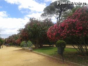 [P07] Sevilla » foto by gettyy
 - 
<span class="allrVoted glyphicon glyphicon-heart hidden" id="av587078"></span>
<a class="m-l-10 hidden" id="sv587078" onclick="voting_Foto_DelVot(,587078,8504)" role="button">șterge vot <span class="glyphicon glyphicon-remove"></span></a>
<a id="v9587078" class=" c-red"  onclick="voting_Foto_SetVot(587078)" role="button"><span class="glyphicon glyphicon-heart-empty"></span> <b>LIKE</b> = Votează poza</a> <img class="hidden"  id="f587078W9" src="/imagini/loader.gif" border="0" /><span class="AjErrMes hidden" id="e587078ErM"></span>