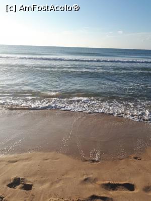 [P09]  -- <small>// FĂRĂ DESCRIERE</small> » foto by alin77
 - 
<span class="allrVoted glyphicon glyphicon-heart hidden" id="av1000069"></span>
<a class="m-l-10 hidden" id="sv1000069" onclick="voting_Foto_DelVot(,1000069,8536)" role="button">șterge vot <span class="glyphicon glyphicon-remove"></span></a>
<a id="v91000069" class=" c-red"  onclick="voting_Foto_SetVot(1000069)" role="button"><span class="glyphicon glyphicon-heart-empty"></span> <b>LIKE</b> = Votează poza</a> <img class="hidden"  id="f1000069W9" src="/imagini/loader.gif" border="0" /><span class="AjErrMes hidden" id="e1000069ErM"></span>