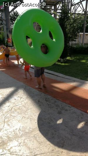[P11] Urcarea la topogan » foto by aleLuca
 - 
<span class="allrVoted glyphicon glyphicon-heart hidden" id="av1106118"></span>
<a class="m-l-10 hidden" id="sv1106118" onclick="voting_Foto_DelVot(,1106118,8536)" role="button">șterge vot <span class="glyphicon glyphicon-remove"></span></a>
<a id="v91106118" class=" c-red"  onclick="voting_Foto_SetVot(1106118)" role="button"><span class="glyphicon glyphicon-heart-empty"></span> <b>LIKE</b> = Votează poza</a> <img class="hidden"  id="f1106118W9" src="/imagini/loader.gif" border="0" /><span class="AjErrMes hidden" id="e1106118ErM"></span>