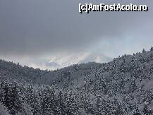 [P11] Muntii Fagaras care se ascundeau printre nori » foto by furryuta
 - 
<span class="allrVoted glyphicon glyphicon-heart hidden" id="av291136"></span>
<a class="m-l-10 hidden" id="sv291136" onclick="voting_Foto_DelVot(,291136,8551)" role="button">șterge vot <span class="glyphicon glyphicon-remove"></span></a>
<a id="v9291136" class=" c-red"  onclick="voting_Foto_SetVot(291136)" role="button"><span class="glyphicon glyphicon-heart-empty"></span> <b>LIKE</b> = Votează poza</a> <img class="hidden"  id="f291136W9" src="/imagini/loader.gif" border="0" /><span class="AjErrMes hidden" id="e291136ErM"></span>