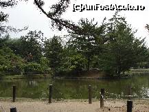 [P27] O armonie de culori in parcul Nara » foto by dananecula*
 - 
<span class="allrVoted glyphicon glyphicon-heart hidden" id="av186362"></span>
<a class="m-l-10 hidden" id="sv186362" onclick="voting_Foto_DelVot(,186362,8565)" role="button">șterge vot <span class="glyphicon glyphicon-remove"></span></a>
<a id="v9186362" class=" c-red"  onclick="voting_Foto_SetVot(186362)" role="button"><span class="glyphicon glyphicon-heart-empty"></span> <b>LIKE</b> = Votează poza</a> <img class="hidden"  id="f186362W9" src="/imagini/loader.gif" border="0" /><span class="AjErrMes hidden" id="e186362ErM"></span>