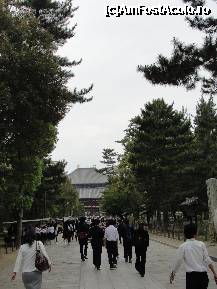 [P34] Aleea din parc ce duce catre templul Todai-ji » foto by dananecula*
 - 
<span class="allrVoted glyphicon glyphicon-heart hidden" id="av186369"></span>
<a class="m-l-10 hidden" id="sv186369" onclick="voting_Foto_DelVot(,186369,8565)" role="button">șterge vot <span class="glyphicon glyphicon-remove"></span></a>
<a id="v9186369" class=" c-red"  onclick="voting_Foto_SetVot(186369)" role="button"><span class="glyphicon glyphicon-heart-empty"></span> <b>LIKE</b> = Votează poza</a> <img class="hidden"  id="f186369W9" src="/imagini/loader.gif" border="0" /><span class="AjErrMes hidden" id="e186369ErM"></span>