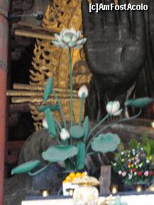 [P16] Cam cum arata mana uriasa a marelui Buddha » foto by dananecula*
 - 
<span class="allrVoted glyphicon glyphicon-heart hidden" id="av186486"></span>
<a class="m-l-10 hidden" id="sv186486" onclick="voting_Foto_DelVot(,186486,8565)" role="button">șterge vot <span class="glyphicon glyphicon-remove"></span></a>
<a id="v9186486" class=" c-red"  onclick="voting_Foto_SetVot(186486)" role="button"><span class="glyphicon glyphicon-heart-empty"></span> <b>LIKE</b> = Votează poza</a> <img class="hidden"  id="f186486W9" src="/imagini/loader.gif" border="0" /><span class="AjErrMes hidden" id="e186486ErM"></span>