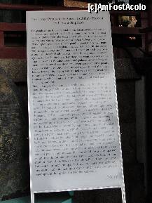 [P20] Istoria frunzelor de lotus de pe piedestalul de la poalele statuii lui Buddha » foto by dananecula*
 - 
<span class="allrVoted glyphicon glyphicon-heart hidden" id="av186490"></span>
<a class="m-l-10 hidden" id="sv186490" onclick="voting_Foto_DelVot(,186490,8565)" role="button">șterge vot <span class="glyphicon glyphicon-remove"></span></a>
<a id="v9186490" class=" c-red"  onclick="voting_Foto_SetVot(186490)" role="button"><span class="glyphicon glyphicon-heart-empty"></span> <b>LIKE</b> = Votează poza</a> <img class="hidden"  id="f186490W9" src="/imagini/loader.gif" border="0" /><span class="AjErrMes hidden" id="e186490ErM"></span>