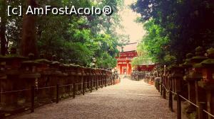 [P01] Intrarea în Kasuga Taisha, văzută venind dinspre pădure.  » foto by Tesaria
 - 
<span class="allrVoted glyphicon glyphicon-heart hidden" id="av956003"></span>
<a class="m-l-10 hidden" id="sv956003" onclick="voting_Foto_DelVot(,956003,8565)" role="button">șterge vot <span class="glyphicon glyphicon-remove"></span></a>
<a id="v9956003" class=" c-red"  onclick="voting_Foto_SetVot(956003)" role="button"><span class="glyphicon glyphicon-heart-empty"></span> <b>LIKE</b> = Votează poza</a> <img class="hidden"  id="f956003W9" src="/imagini/loader.gif" border="0" /><span class="AjErrMes hidden" id="e956003ErM"></span>