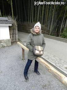 [P100] Incepe padurea de bambus. Pentru ea am venit aici. Zona Arashiyama » foto by TraianS
 - 
<span class="allrVoted glyphicon glyphicon-heart hidden" id="av410962"></span>
<a class="m-l-10 hidden" id="sv410962" onclick="voting_Foto_DelVot(,410962,8571)" role="button">șterge vot <span class="glyphicon glyphicon-remove"></span></a>
<a id="v9410962" class=" c-red"  onclick="voting_Foto_SetVot(410962)" role="button"><span class="glyphicon glyphicon-heart-empty"></span> <b>LIKE</b> = Votează poza</a> <img class="hidden"  id="f410962W9" src="/imagini/loader.gif" border="0" /><span class="AjErrMes hidden" id="e410962ErM"></span>