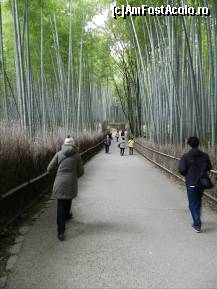 [P101] Zona Arashiyama -padurea de bambus.  » foto by TraianS
 - 
<span class="allrVoted glyphicon glyphicon-heart hidden" id="av410963"></span>
<a class="m-l-10 hidden" id="sv410963" onclick="voting_Foto_DelVot(,410963,8571)" role="button">șterge vot <span class="glyphicon glyphicon-remove"></span></a>
<a id="v9410963" class=" c-red"  onclick="voting_Foto_SetVot(410963)" role="button"><span class="glyphicon glyphicon-heart-empty"></span> <b>LIKE</b> = Votează poza</a> <img class="hidden"  id="f410963W9" src="/imagini/loader.gif" border="0" /><span class="AjErrMes hidden" id="e410963ErM"></span>