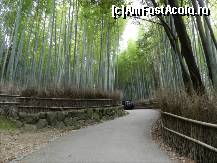 [P102] Zona Arashiyama » foto by TraianS
 - 
<span class="allrVoted glyphicon glyphicon-heart hidden" id="av410965"></span>
<a class="m-l-10 hidden" id="sv410965" onclick="voting_Foto_DelVot(,410965,8571)" role="button">șterge vot <span class="glyphicon glyphicon-remove"></span></a>
<a id="v9410965" class=" c-red"  onclick="voting_Foto_SetVot(410965)" role="button"><span class="glyphicon glyphicon-heart-empty"></span> <b>LIKE</b> = Votează poza</a> <img class="hidden"  id="f410965W9" src="/imagini/loader.gif" border="0" /><span class="AjErrMes hidden" id="e410965ErM"></span>