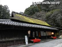 [P118] Zona Arashiyama » foto by TraianS
 - 
<span class="allrVoted glyphicon glyphicon-heart hidden" id="av410989"></span>
<a class="m-l-10 hidden" id="sv410989" onclick="voting_Foto_DelVot(,410989,8571)" role="button">șterge vot <span class="glyphicon glyphicon-remove"></span></a>
<a id="v9410989" class=" c-red"  onclick="voting_Foto_SetVot(410989)" role="button"><span class="glyphicon glyphicon-heart-empty"></span> <b>LIKE</b> = Votează poza</a> <img class="hidden"  id="f410989W9" src="/imagini/loader.gif" border="0" /><span class="AjErrMes hidden" id="e410989ErM"></span>
