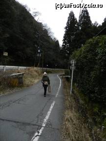 [P119] Spre capatul lumii. Incepeam sa am probleme cu echipajul tehnic. Zona Arashiyama » foto by TraianS
 - 
<span class="allrVoted glyphicon glyphicon-heart hidden" id="av410990"></span>
<a class="m-l-10 hidden" id="sv410990" onclick="voting_Foto_DelVot(,410990,8571)" role="button">șterge vot <span class="glyphicon glyphicon-remove"></span></a>
<a id="v9410990" class=" c-red"  onclick="voting_Foto_SetVot(410990)" role="button"><span class="glyphicon glyphicon-heart-empty"></span> <b>LIKE</b> = Votează poza</a> <img class="hidden"  id="f410990W9" src="/imagini/loader.gif" border="0" /><span class="AjErrMes hidden" id="e410990ErM"></span>
