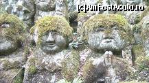 [P130] Templul Otagi Nenbutsu-ji » foto by TraianS
 - 
<span class="allrVoted glyphicon glyphicon-heart hidden" id="av411006"></span>
<a class="m-l-10 hidden" id="sv411006" onclick="voting_Foto_DelVot(,411006,8571)" role="button">șterge vot <span class="glyphicon glyphicon-remove"></span></a>
<a id="v9411006" class=" c-red"  onclick="voting_Foto_SetVot(411006)" role="button"><span class="glyphicon glyphicon-heart-empty"></span> <b>LIKE</b> = Votează poza</a> <img class="hidden"  id="f411006W9" src="/imagini/loader.gif" border="0" /><span class="AjErrMes hidden" id="e411006ErM"></span>