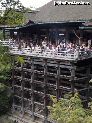 [P105] Kyoto, Templul Kiyomizu-dera, veranda (detalii)  » foto by mprofeanu
 - 
<span class="allrVoted glyphicon glyphicon-heart hidden" id="av705457"></span>
<a class="m-l-10 hidden" id="sv705457" onclick="voting_Foto_DelVot(,705457,8571)" role="button">șterge vot <span class="glyphicon glyphicon-remove"></span></a>
<a id="v9705457" class=" c-red"  onclick="voting_Foto_SetVot(705457)" role="button"><span class="glyphicon glyphicon-heart-empty"></span> <b>LIKE</b> = Votează poza</a> <img class="hidden"  id="f705457W9" src="/imagini/loader.gif" border="0" /><span class="AjErrMes hidden" id="e705457ErM"></span>