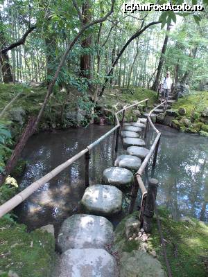 [P59] Kyoto, Templul Tenjuan, Grădina de vest » foto by mprofeanu
 - 
<span class="allrVoted glyphicon glyphicon-heart hidden" id="av705408"></span>
<a class="m-l-10 hidden" id="sv705408" onclick="voting_Foto_DelVot(,705408,8571)" role="button">șterge vot <span class="glyphicon glyphicon-remove"></span></a>
<a id="v9705408" class=" c-red"  onclick="voting_Foto_SetVot(705408)" role="button"><span class="glyphicon glyphicon-heart-empty"></span> <b>LIKE</b> = Votează poza</a> <img class="hidden"  id="f705408W9" src="/imagini/loader.gif" border="0" /><span class="AjErrMes hidden" id="e705408ErM"></span>