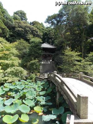 [P65] Kyoto, Templul Chion-in, urcând spre templu » foto by mprofeanu
 - 
<span class="allrVoted glyphicon glyphicon-heart hidden" id="av705414"></span>
<a class="m-l-10 hidden" id="sv705414" onclick="voting_Foto_DelVot(,705414,8571)" role="button">șterge vot <span class="glyphicon glyphicon-remove"></span></a>
<a id="v9705414" class=" c-red"  onclick="voting_Foto_SetVot(705414)" role="button"><span class="glyphicon glyphicon-heart-empty"></span> <b>LIKE</b> = Votează poza</a> <img class="hidden"  id="f705414W9" src="/imagini/loader.gif" border="0" /><span class="AjErrMes hidden" id="e705414ErM"></span>