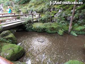[P08] Kyoto, Templul Ginkakuji, Grădina de Mușchi, bănuți cu noroc » foto by mprofeanu
 - 
<span class="allrVoted glyphicon glyphicon-heart hidden" id="av705357"></span>
<a class="m-l-10 hidden" id="sv705357" onclick="voting_Foto_DelVot(,705357,8571)" role="button">șterge vot <span class="glyphicon glyphicon-remove"></span></a>
<a id="v9705357" class=" c-red"  onclick="voting_Foto_SetVot(705357)" role="button"><span class="glyphicon glyphicon-heart-empty"></span> <b>LIKE</b> = Votează poza</a> <img class="hidden"  id="f705357W9" src="/imagini/loader.gif" border="0" /><span class="AjErrMes hidden" id="e705357ErM"></span>