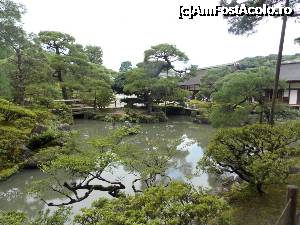 [P09] Kyoto, Templul Ginkakuji, Grădina de Mușchi » foto by mprofeanu
 - 
<span class="allrVoted glyphicon glyphicon-heart hidden" id="av705358"></span>
<a class="m-l-10 hidden" id="sv705358" onclick="voting_Foto_DelVot(,705358,8571)" role="button">șterge vot <span class="glyphicon glyphicon-remove"></span></a>
<a id="v9705358" class=" c-red"  onclick="voting_Foto_SetVot(705358)" role="button"><span class="glyphicon glyphicon-heart-empty"></span> <b>LIKE</b> = Votează poza</a> <img class="hidden"  id="f705358W9" src="/imagini/loader.gif" border="0" /><span class="AjErrMes hidden" id="e705358ErM"></span>