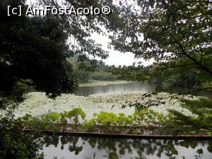 [P24] Kyoto, Templul Ryoanji, Lacul Kyoyochi-Ike » foto by mprofeanu
 - 
<span class="allrVoted glyphicon glyphicon-heart hidden" id="av709914"></span>
<a class="m-l-10 hidden" id="sv709914" onclick="voting_Foto_DelVot(,709914,8571)" role="button">șterge vot <span class="glyphicon glyphicon-remove"></span></a>
<a id="v9709914" class=" c-red"  onclick="voting_Foto_SetVot(709914)" role="button"><span class="glyphicon glyphicon-heart-empty"></span> <b>LIKE</b> = Votează poza</a> <img class="hidden"  id="f709914W9" src="/imagini/loader.gif" border="0" /><span class="AjErrMes hidden" id="e709914ErM"></span>