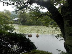 [P25] Kyoto, Templul Ryoanji, Subtemplul Daishu-in (în plan îndepărtat) » foto by mprofeanu
 - 
<span class="allrVoted glyphicon glyphicon-heart hidden" id="av709915"></span>
<a class="m-l-10 hidden" id="sv709915" onclick="voting_Foto_DelVot(,709915,8571)" role="button">șterge vot <span class="glyphicon glyphicon-remove"></span></a>
<a id="v9709915" class=" c-red"  onclick="voting_Foto_SetVot(709915)" role="button"><span class="glyphicon glyphicon-heart-empty"></span> <b>LIKE</b> = Votează poza</a> <img class="hidden"  id="f709915W9" src="/imagini/loader.gif" border="0" /><span class="AjErrMes hidden" id="e709915ErM"></span>
