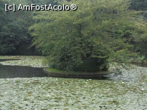 [P27] Kyoto, Templul Ryoanji, Insulă în Lacul Kyoyochi-Ike » foto by mprofeanu
 - 
<span class="allrVoted glyphicon glyphicon-heart hidden" id="av709917"></span>
<a class="m-l-10 hidden" id="sv709917" onclick="voting_Foto_DelVot(,709917,8571)" role="button">șterge vot <span class="glyphicon glyphicon-remove"></span></a>
<a id="v9709917" class=" c-red"  onclick="voting_Foto_SetVot(709917)" role="button"><span class="glyphicon glyphicon-heart-empty"></span> <b>LIKE</b> = Votează poza</a> <img class="hidden"  id="f709917W9" src="/imagini/loader.gif" border="0" /><span class="AjErrMes hidden" id="e709917ErM"></span>