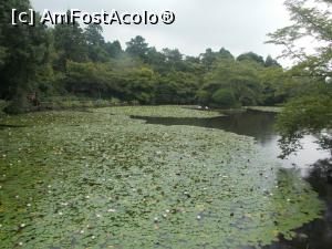 [P28] Kyoto, Templul Ryoanji, nuferi pe Lacul Kyoyochi-Ike » foto by mprofeanu
 - 
<span class="allrVoted glyphicon glyphicon-heart hidden" id="av709918"></span>
<a class="m-l-10 hidden" id="sv709918" onclick="voting_Foto_DelVot(,709918,8571)" role="button">șterge vot <span class="glyphicon glyphicon-remove"></span></a>
<a id="v9709918" class=" c-red"  onclick="voting_Foto_SetVot(709918)" role="button"><span class="glyphicon glyphicon-heart-empty"></span> <b>LIKE</b> = Votează poza</a> <img class="hidden"  id="f709918W9" src="/imagini/loader.gif" border="0" /><span class="AjErrMes hidden" id="e709918ErM"></span>