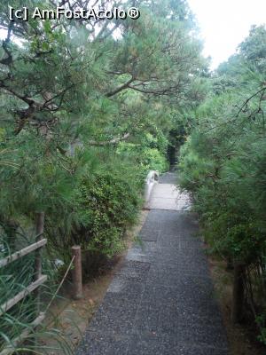 [P30] Kyoto, Templul Ryoanji, pini japonezi și un pod de piatră peste Lacul Kyoyochi-Ike, spre insula din mijloc » foto by mprofeanu
 - 
<span class="allrVoted glyphicon glyphicon-heart hidden" id="av709920"></span>
<a class="m-l-10 hidden" id="sv709920" onclick="voting_Foto_DelVot(,709920,8571)" role="button">șterge vot <span class="glyphicon glyphicon-remove"></span></a>
<a id="v9709920" class=" c-red"  onclick="voting_Foto_SetVot(709920)" role="button"><span class="glyphicon glyphicon-heart-empty"></span> <b>LIKE</b> = Votează poza</a> <img class="hidden"  id="f709920W9" src="/imagini/loader.gif" border="0" /><span class="AjErrMes hidden" id="e709920ErM"></span>