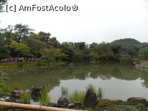 [P05] Kyoto, Templul Kinkakuji, Kyoko-chi, Lacul Oglindă » foto by mprofeanu
 - 
<span class="allrVoted glyphicon glyphicon-heart hidden" id="av709895"></span>
<a class="m-l-10 hidden" id="sv709895" onclick="voting_Foto_DelVot(,709895,8571)" role="button">șterge vot <span class="glyphicon glyphicon-remove"></span></a>
<a id="v9709895" class=" c-red"  onclick="voting_Foto_SetVot(709895)" role="button"><span class="glyphicon glyphicon-heart-empty"></span> <b>LIKE</b> = Votează poza</a> <img class="hidden"  id="f709895W9" src="/imagini/loader.gif" border="0" /><span class="AjErrMes hidden" id="e709895ErM"></span>