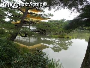 [P09] Kyoto, Templul Kinkakuji, Pavilionul de Aur se ridică din ape » foto by mprofeanu
 - 
<span class="allrVoted glyphicon glyphicon-heart hidden" id="av709899"></span>
<a class="m-l-10 hidden" id="sv709899" onclick="voting_Foto_DelVot(,709899,8571)" role="button">șterge vot <span class="glyphicon glyphicon-remove"></span></a>
<a id="v9709899" class=" c-red"  onclick="voting_Foto_SetVot(709899)" role="button"><span class="glyphicon glyphicon-heart-empty"></span> <b>LIKE</b> = Votează poza</a> <img class="hidden"  id="f709899W9" src="/imagini/loader.gif" border="0" /><span class="AjErrMes hidden" id="e709899ErM"></span>