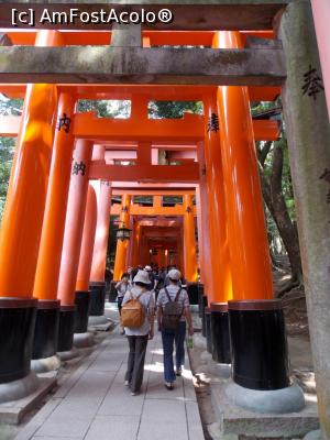 [P45] Kyoto, Fushimi, Altarul Inari » foto by mprofeanu
 - 
<span class="allrVoted glyphicon glyphicon-heart hidden" id="av738930"></span>
<a class="m-l-10 hidden" id="sv738930" onclick="voting_Foto_DelVot(,738930,8571)" role="button">șterge vot <span class="glyphicon glyphicon-remove"></span></a>
<a id="v9738930" class=" c-red"  onclick="voting_Foto_SetVot(738930)" role="button"><span class="glyphicon glyphicon-heart-empty"></span> <b>LIKE</b> = Votează poza</a> <img class="hidden"  id="f738930W9" src="/imagini/loader.gif" border="0" /><span class="AjErrMes hidden" id="e738930ErM"></span>